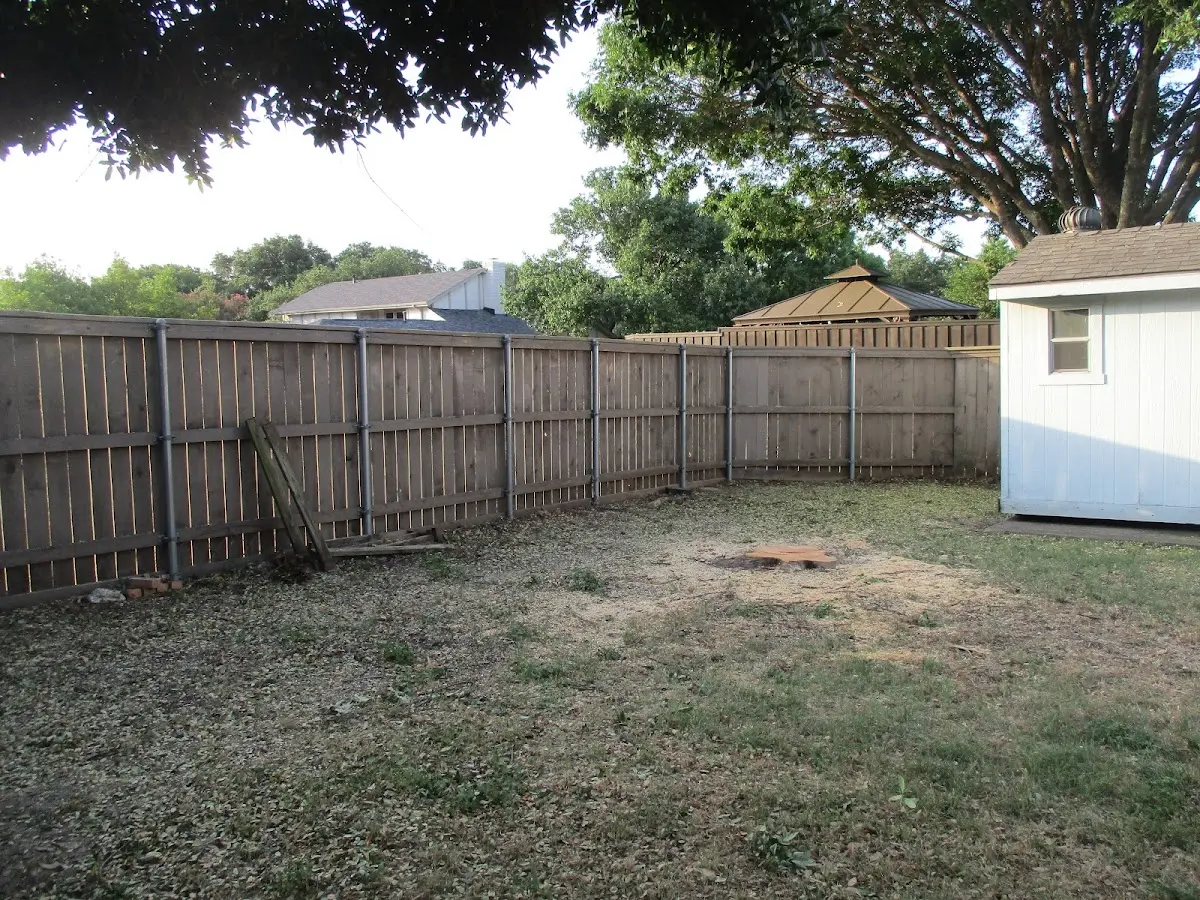 Cleared yard after professional tree removal in Birchwood